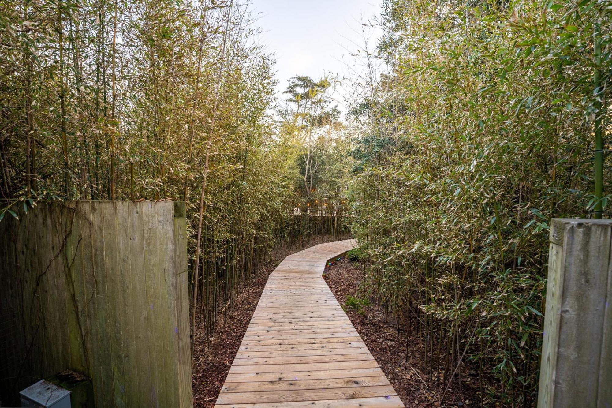 فندق The Madison Fire Island Pines المظهر الخارجي الصورة